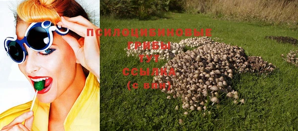 меф Переславль-Залесский