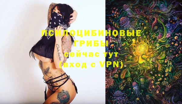 mdpv Пестово