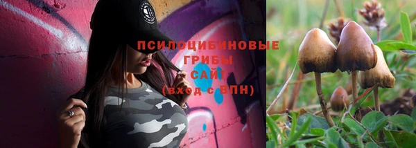 COCAINE Болотное