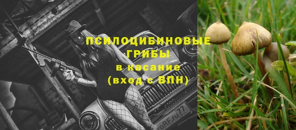 гидра Осташков