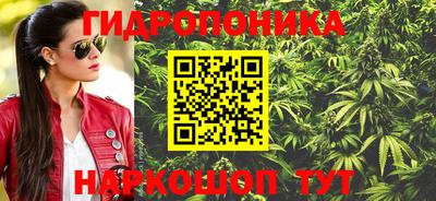 каннабис Новозыбков