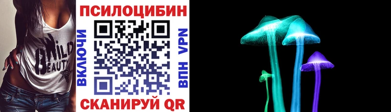 Псилоцибиновые грибы Psilocybe  купить  цена  Углич 