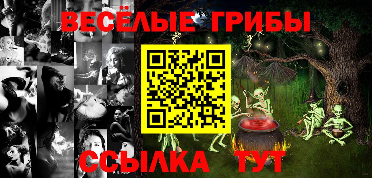 Псилоцибиновые грибы Psilocybe  Вход с VPN  Углич 